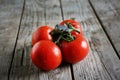 Tomatoes ripen on the vine, fresh, sweet, moist and red vegetable