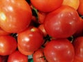 Tomatoes for sale in bulk Royalty Free Stock Photo