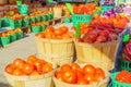 Tomatoes on sale in the Jean-Talon Market Market, Montreal Royalty Free Stock Photo