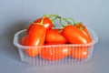 Tomatoes San Marzano, Campania, italy