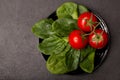 Tomatoes and spinach leaves on black plate, top view