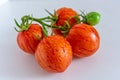 Tomatoes striped tomato close-up on a white plate, cultivar Tigerella.