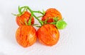 Tomatoes striped tomato close-up on a white plate, cultivar Tigerella.