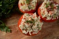 Yemista: Stuffed Tomatoes With Rice and Ground Beef Royalty Free Stock Photo