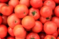 Tomatoes in a supermarket