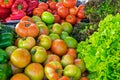 Tomatoes, sweet pepper and salad Royalty Free Stock Photo