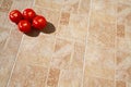 Tomatoes on Tiles Outdoors in Bright Sunny Afternoon Royalty Free Stock Photo