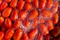 Tomatoes to make the sauce at home Royalty Free Stock Photo