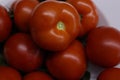 Tomatoes Royalty Free Stock Photo