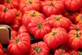 Tomatoes at Traditional Market in Rome Italy Royalty Free Stock Photo