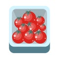 Tomatoes in Tray Flat Design Illustration.
