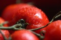 Tomatoes under water drops, red background Royalty Free Stock Photo