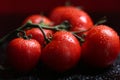 Tomatoes under water drops, red background Royalty Free Stock Photo