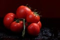 Tomatoes under water drops, red background Royalty Free Stock Photo