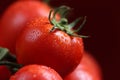 Tomatoes under water drops, red background Royalty Free Stock Photo