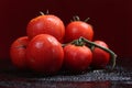 Tomatoes under water drops, red background Royalty Free Stock Photo