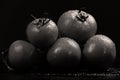 Tomatoes under water drops Royalty Free Stock Photo
