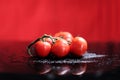 Tomatoes under water drops Royalty Free Stock Photo