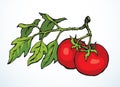 Tomatoes. Vector drawing icon sign Royalty Free Stock Photo