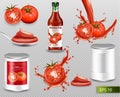 Tomatoes Vector realistic set with splash, ketchup bottle, canned metallic tin. Label design template. 3d detailed illustrations Royalty Free Stock Photo