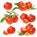 Tomatoes vegetable