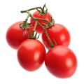 Tomatoes vegetable isolated