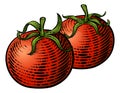 Tomatoes Vegetable Vintage Woodcut Illustration Royalty Free Stock Photo