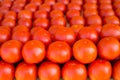 Tomatoes vegetables stacked in a row on market