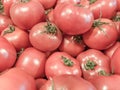 Tomatoes. Vegetables. Summer healthy food. Fresh tomatoes. Red tomatoes. Village market organic tomatoes Royalty Free Stock Photo