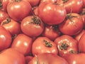 Tomatoes. Vegetables. Summer healthy food. Fresh tomatoes. Red tomatoes. Village market organic tomatoes Royalty Free Stock Photo