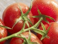 Tomatoes on the vine close up view