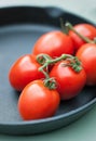 Tomatoes on Vine