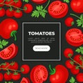 Tomatoes web banner. Fresh ripe organic vegetables. Farmers market, organic food, natural products landing page, website Royalty Free Stock Photo