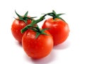 Tomatoes on white background Royalty Free Stock Photo