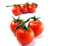 Tomatoes on white background Royalty Free Stock Photo