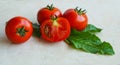 Tomatoes on a white background Royalty Free Stock Photo