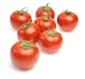 Tomatoes in a white background Royalty Free Stock Photo