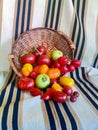 Tomatoes in wooden baslet 6