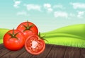 Tomatoes on wooden table Vector realistic. Green eco background. Detailed 3d banner template for label, icon, product Royalty Free Stock Photo