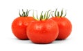 Tomatos Royalty Free Stock Photo