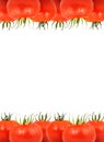 Tomatos Royalty Free Stock Photo
