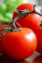 Tomatos Royalty Free Stock Photo