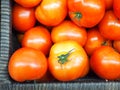 Tomatos in basket