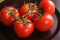 Tomatos in bunch Royalty Free Stock Photo