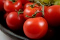 Tomatos in bunch Royalty Free Stock Photo