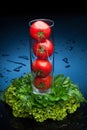 Tomatos and greenery in water Royalty Free Stock Photo