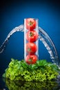 Tomatos and greenery in water Royalty Free Stock Photo