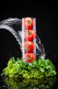 Tomatos and greenery in water Royalty Free Stock Photo