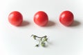 Tomatos in a row Royalty Free Stock Photo