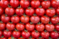 Tomatos in row as background Royalty Free Stock Photo